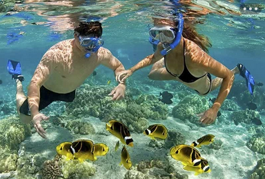 Hurghada
                      Diving
